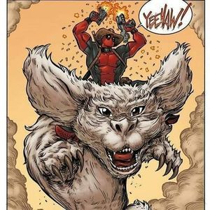 Meet your Posher, Christy